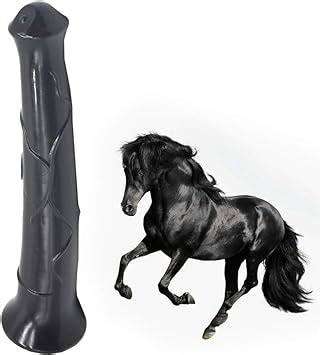 horse anal